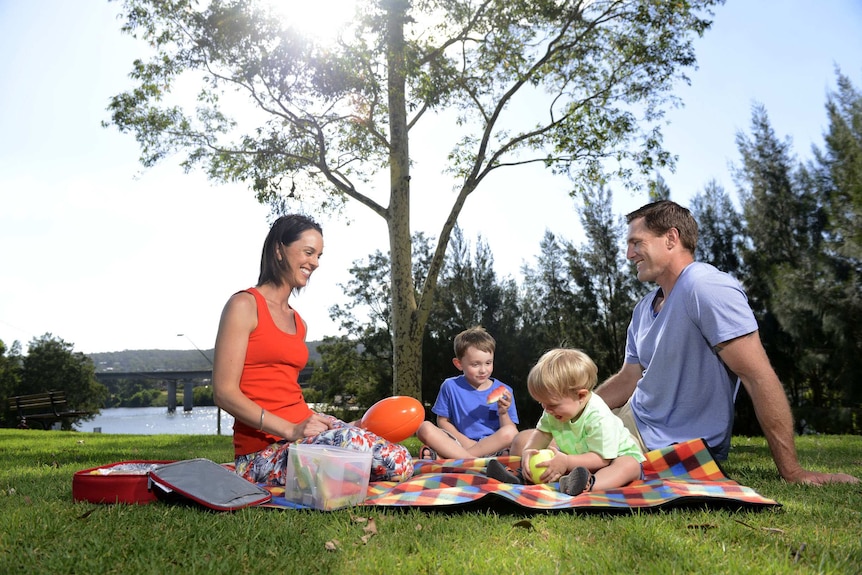 Family having a picnic