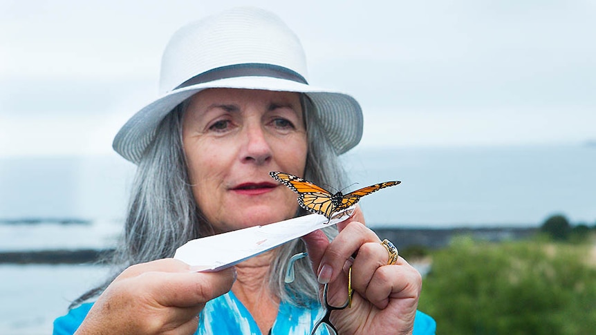 Penguin local Fran Owens releasing a butterfly