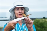 Penguin local Fran Owens releasing a butterfly