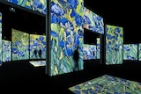 darkened gallery space with digital projections of irises artwork with silhouettes of people.