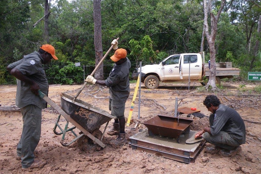 Dhimurru rangers in northeast Arnhem Land