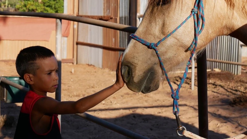 An Indigenous child pats a horse in Broome as part of an Equine Assisted Learning program.