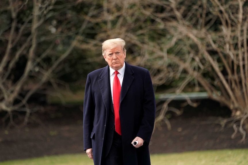 Donald Trump walks on green grass with trees in the background.