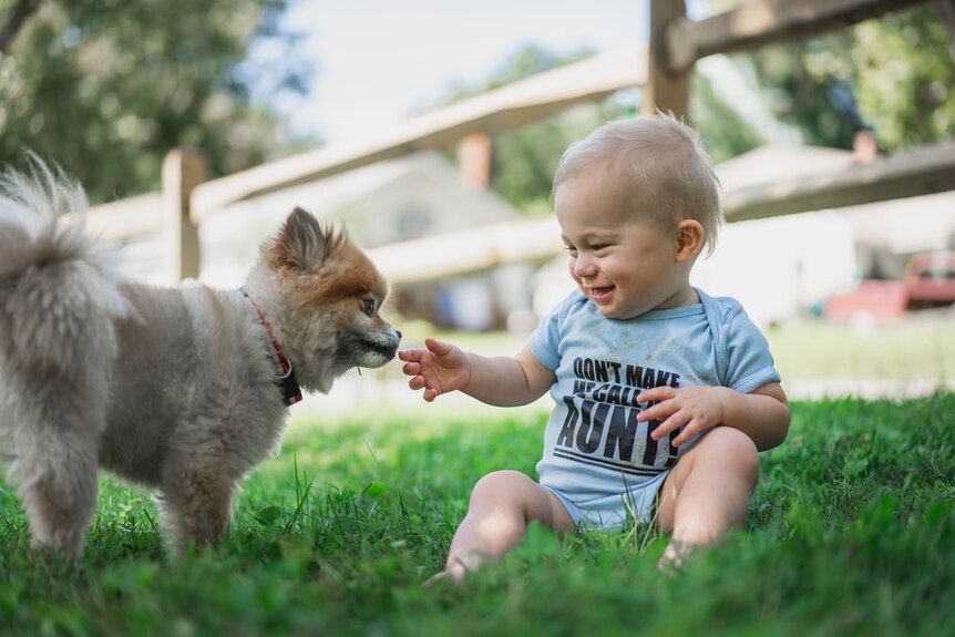 A baby sits on grass, holding his hand out to a fluffy puppy.