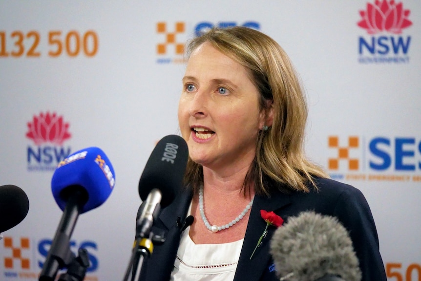 Woman fronting press conference in front of NSW banners