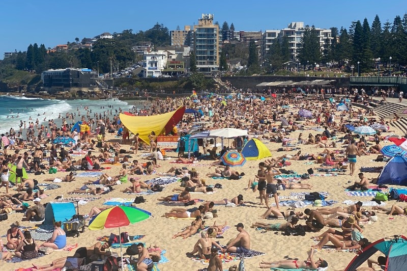 Crowded beach scenes