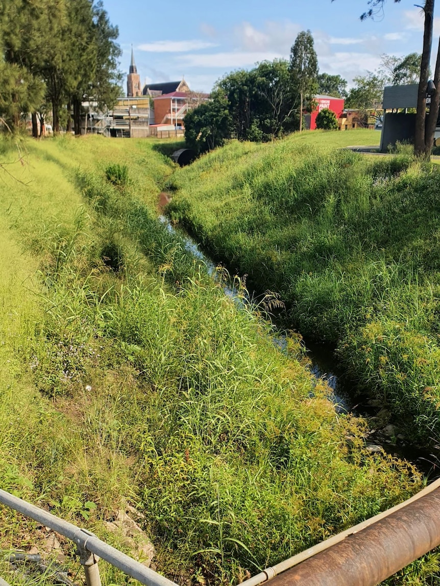 A photo of a grassy drain leading through the city of Lismore