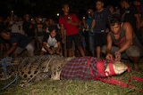 Crowds watch as several people untie a crocodile.