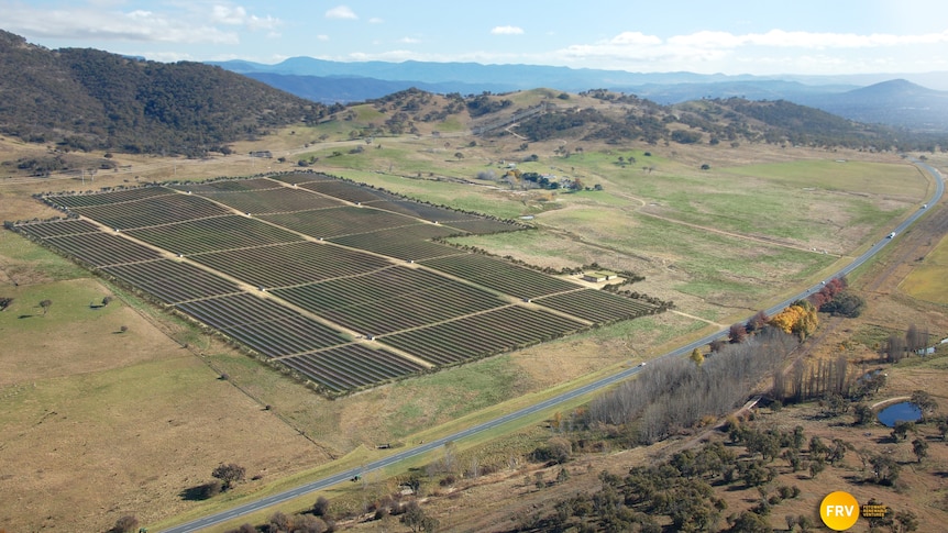 Concept image: the solar farm will be built on a 50 hectare site off the Monaro Highway in Canberra's south.