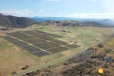 Concept image: the solar farm will be built on a 50 hectare site off the Monaro Highway in Canberra's south.