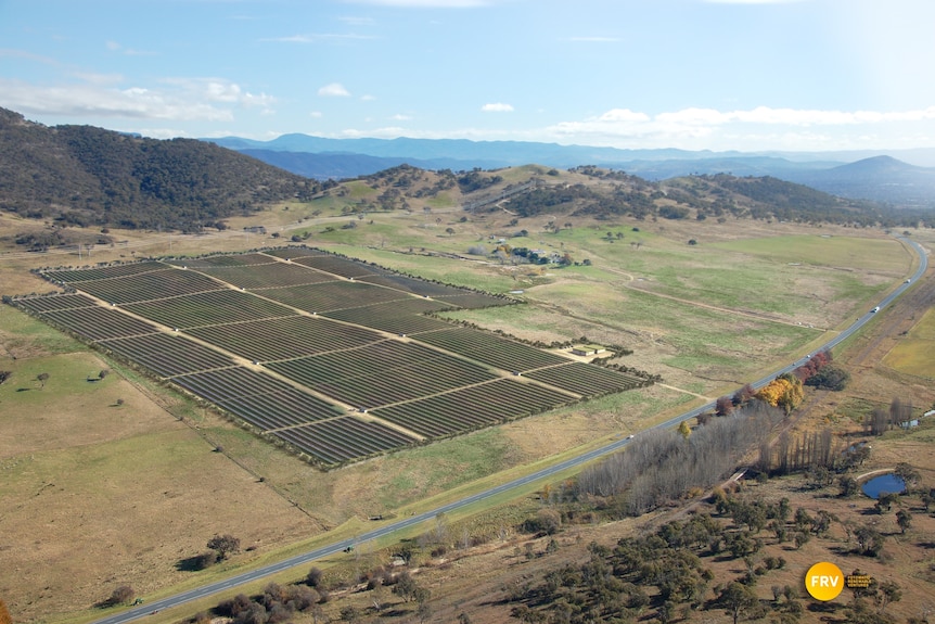 Concept image: the solar farm will be built on a 50 hectare site off the Monaro Highway in Canberra's south.