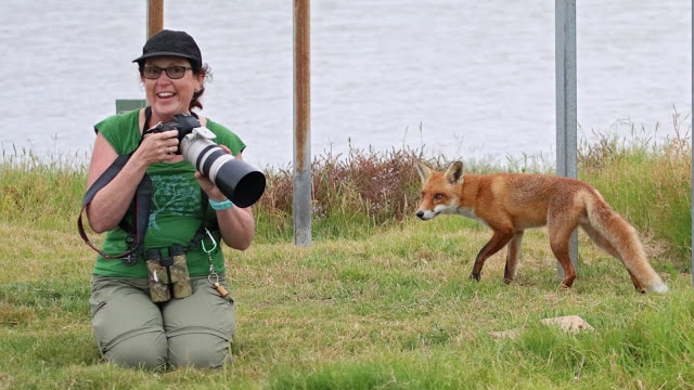 A woman holds a camera as a fox walks by