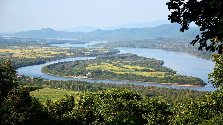 Aerial shot of the Ussuri river meandering with the green island of Zhenbao in the centre.