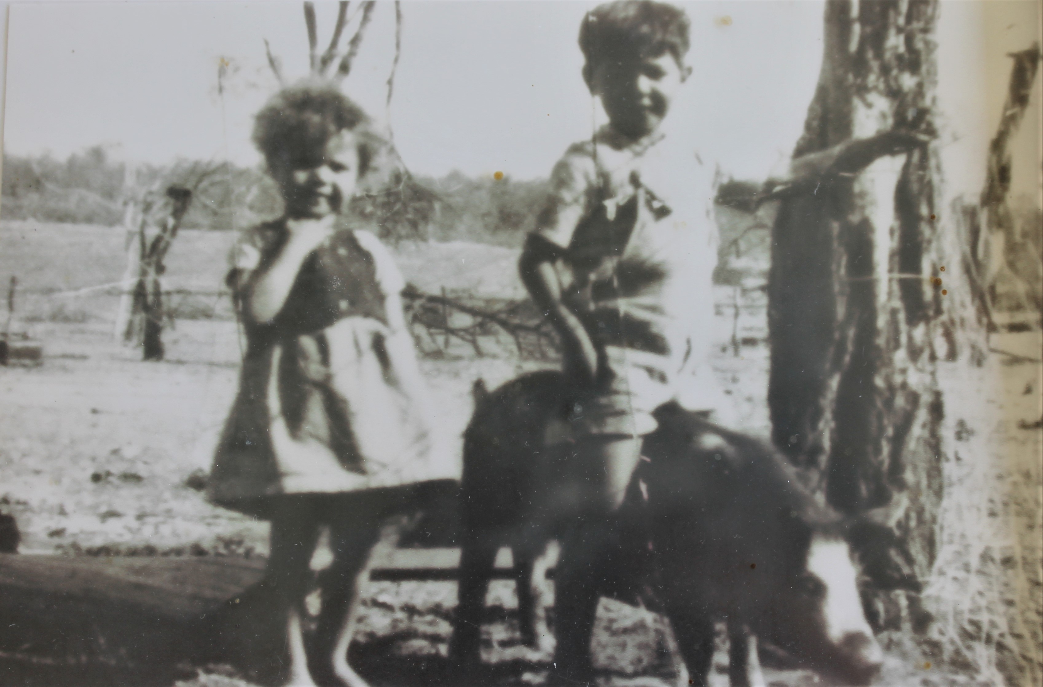 Una fotografía en blanco y negro de una niña y un niño un poco mayor sentados sobre un cerdo.