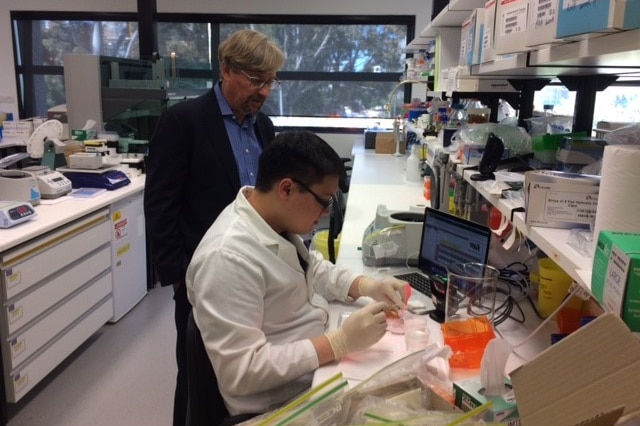 Professor Scott O'Neill chats with one of his staff at Monash University, Melbourne.