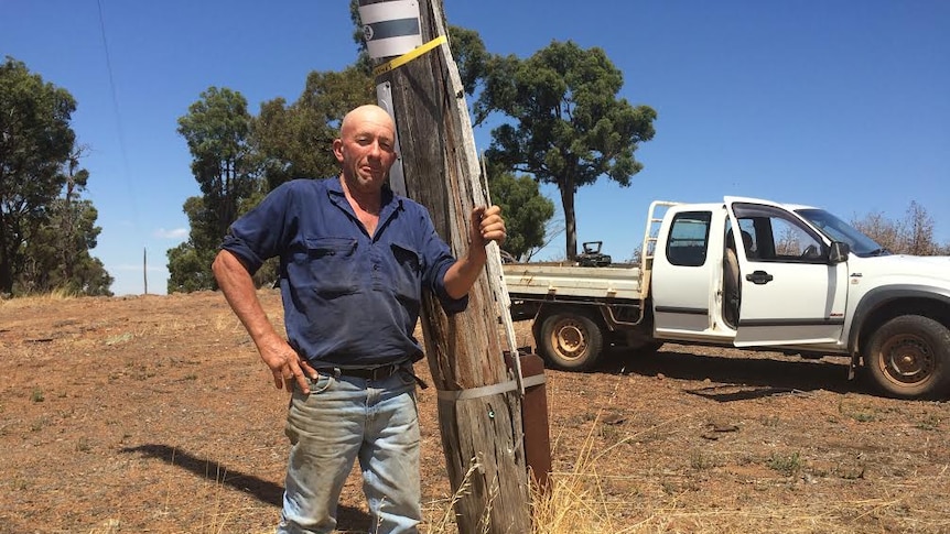A man holds parts of a splintered wooden power pole on a tree farm property in Boyup Brook, Western Australia.