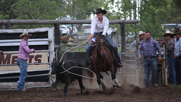Cowgirl wearing white shirt and black hat on a horse ropes a black calf.