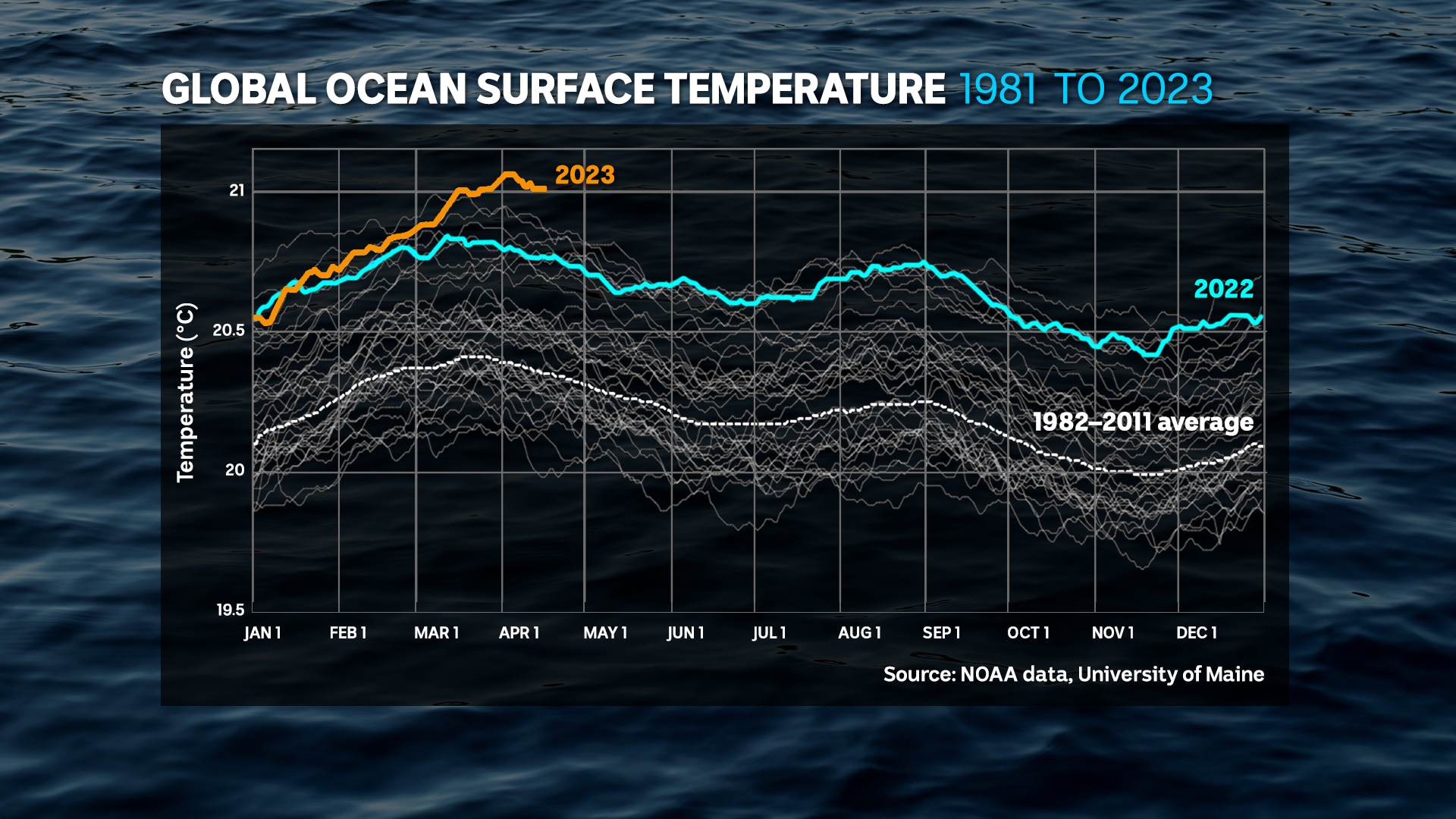 What is current bermuda ocean temperature