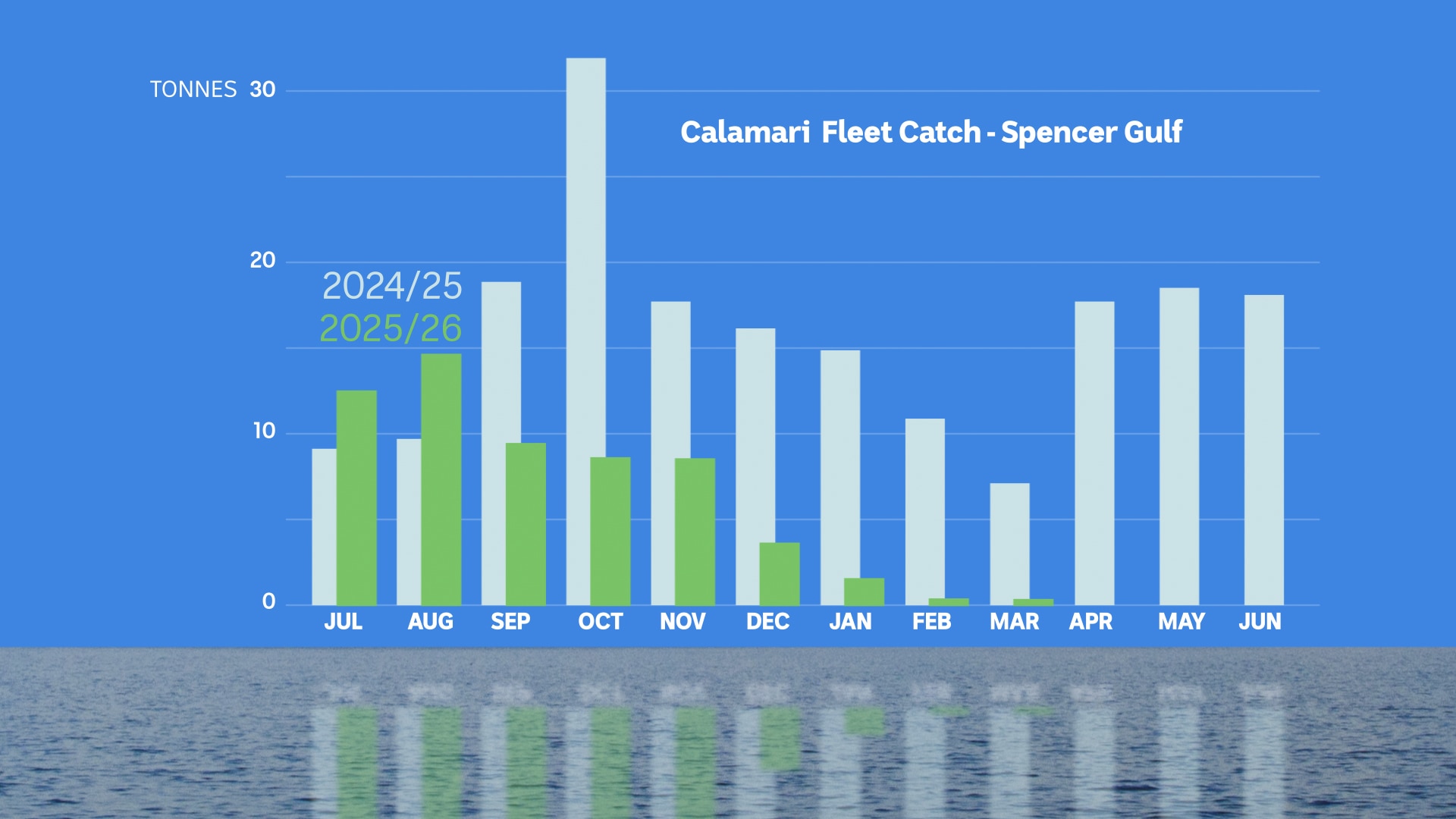 Un gráfico que muestra los efectos de la proliferación de algas en los calamares.