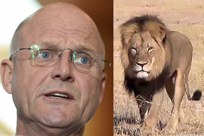 Composite of David Leyonhjelm and Cecil the lion