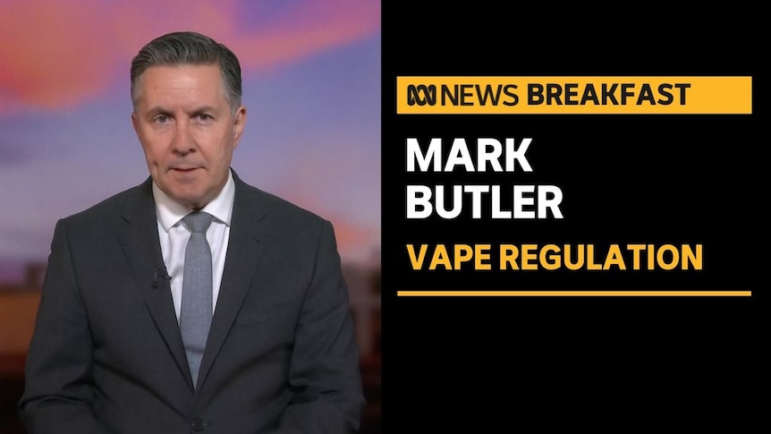Mark Butler, Vape Regulation: Health Minister Mark Butler gives a television interview.