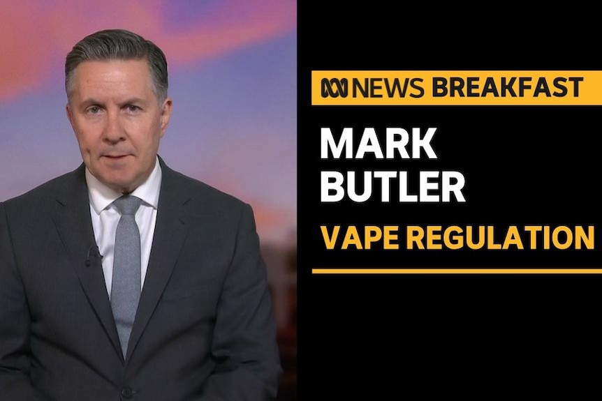 Mark Butler, Vape Regulation: Health Minister Mark Butler gives a television interview.