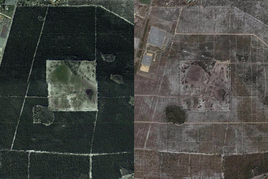 Google earth image shows clearing in the Gnangara pines between 2002 and 2016.