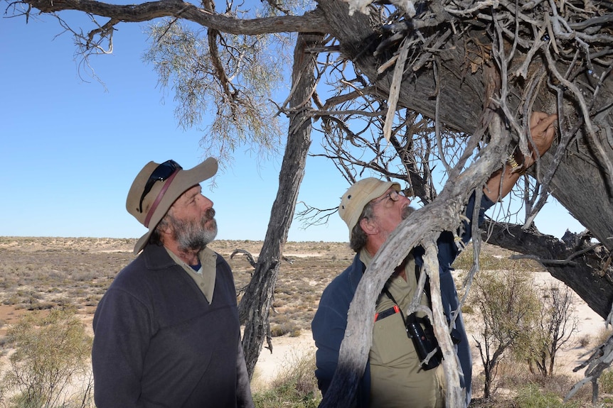 Ecologists John Young and Keith Bellchambers from the AWC