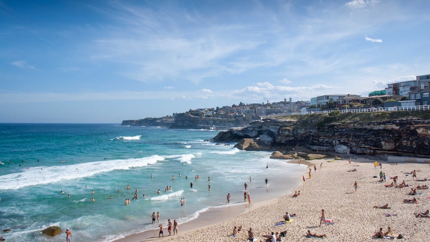 Beach and coastline in Sydney with people in the water and on the sand