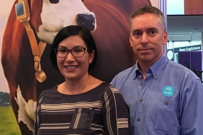 Dr David Henry and Dr Caroline Lee from the CSIRO at their cattle collar stand at the AgCatalyst event in Sydney.