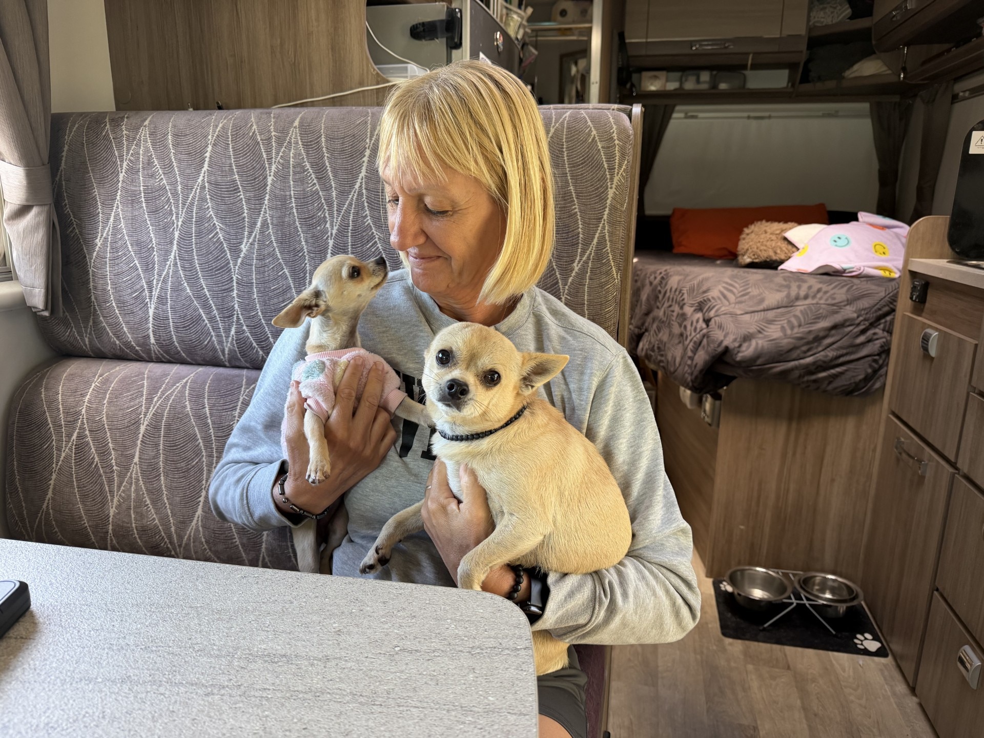 woman and her two dogs inside motorhome