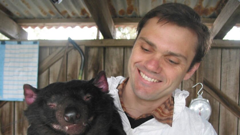 Cedric the Tasmanian Devil with researcher Alex Kreiss