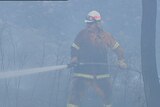 A firefighter at the blaze at Tea Tree near Richmond