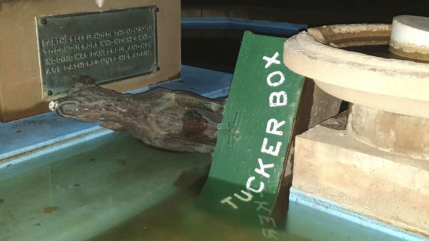 A statue of a dog on a tuckerbox is pictured lying on its side, in a fountain pool beneath a plinth at night.