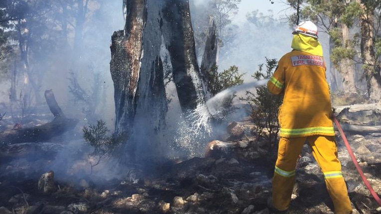 Firefighters are yet to determine the cause of the blazes near Orford and Campania.