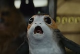 A new creature known as a 'porg' is seen in the trailer for Star Wars: The Last Jedi