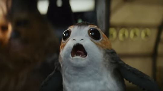 A new creature known as a 'porg' is seen in the trailer for Star Wars: The Last Jedi
