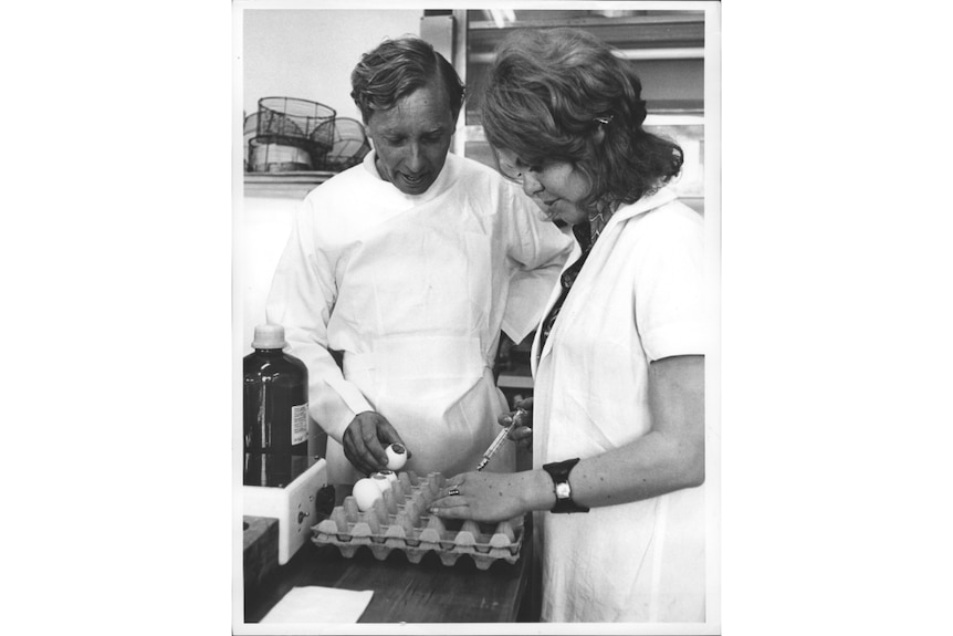 A man and woman looking at some eggs, the woman is holding a syringe