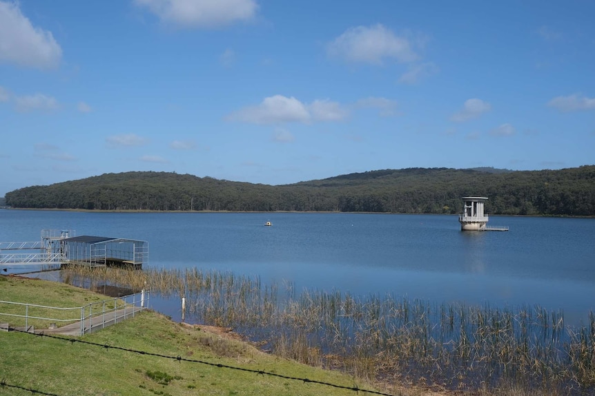 A large dam with small green hills behind it on a sunny, blue sky day.