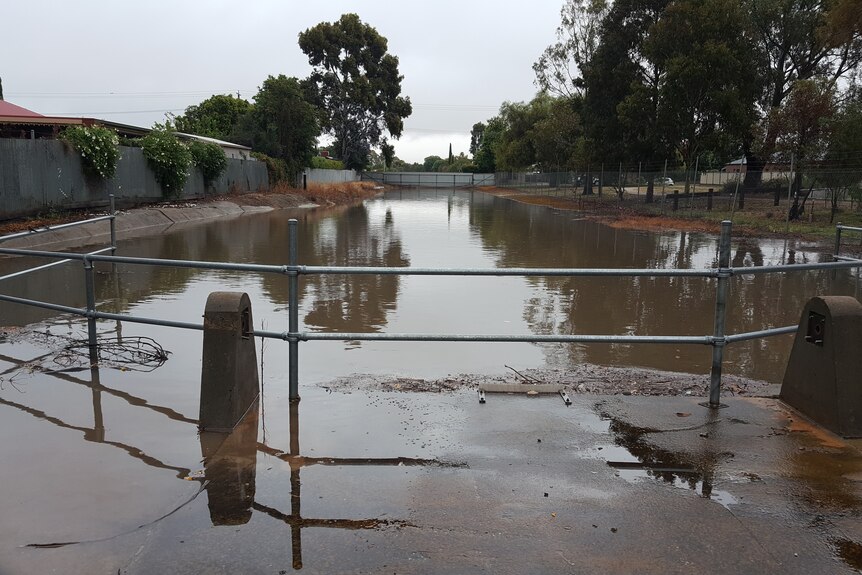 What looks like a channel has been submerged in water after flash flooding in Swan Hill.