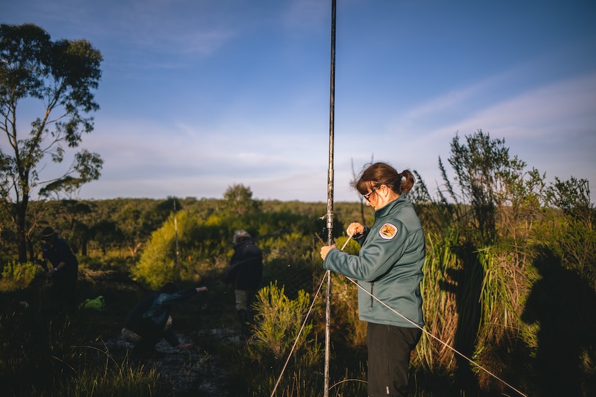 A woman stands in a ranger uniform holding a pole in an area of bushland and grass,