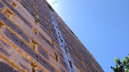 honey dripping down the external bricks of house with a couple of bees.