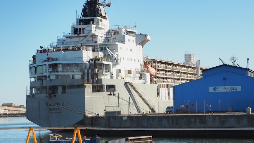 A live export ship in port.