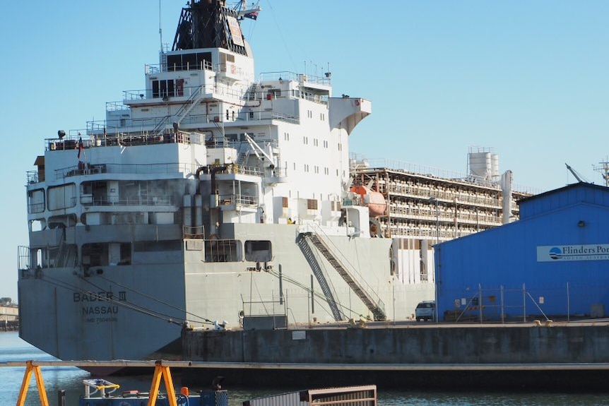 A live export ship in port.