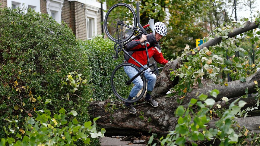 A cyclist carries his bicycle over a fallen tree in Islington after severe storm.