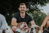 a man smiling with four bulldogs