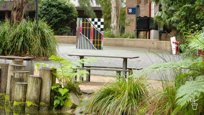 Native garden in a university campus with wooden benches and Australian ferns