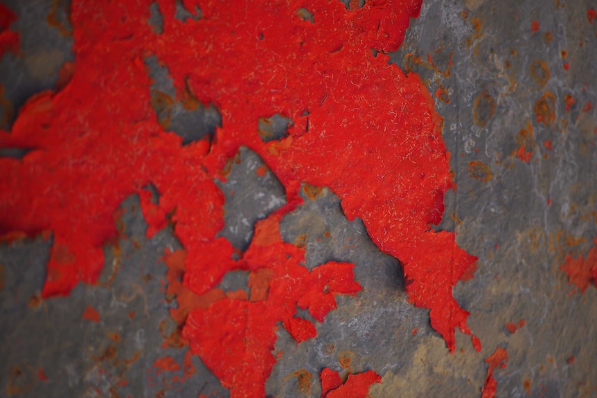 A close up picture showing peeling red paint and rust on the metal hull of a barge.