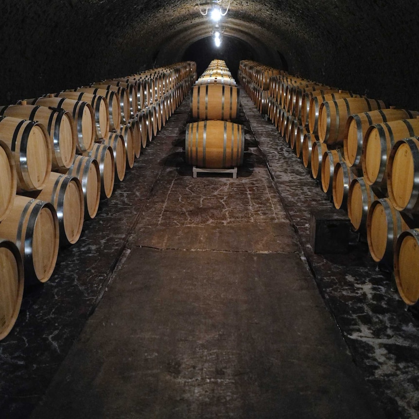 Empty wine barrels in a cellar.