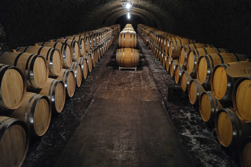 Wine barrels in a cellar